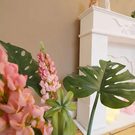 Apartment Secret Hideaways Boho Artstudio Mit Smarthome Nahe L Messe L Hbf Duisburg